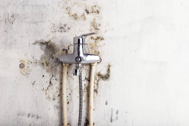 Best Local Mold Removal Service  in Ironton, OH