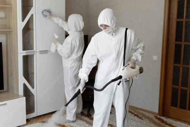 Best Mold Removal Process  in Ironton, OH